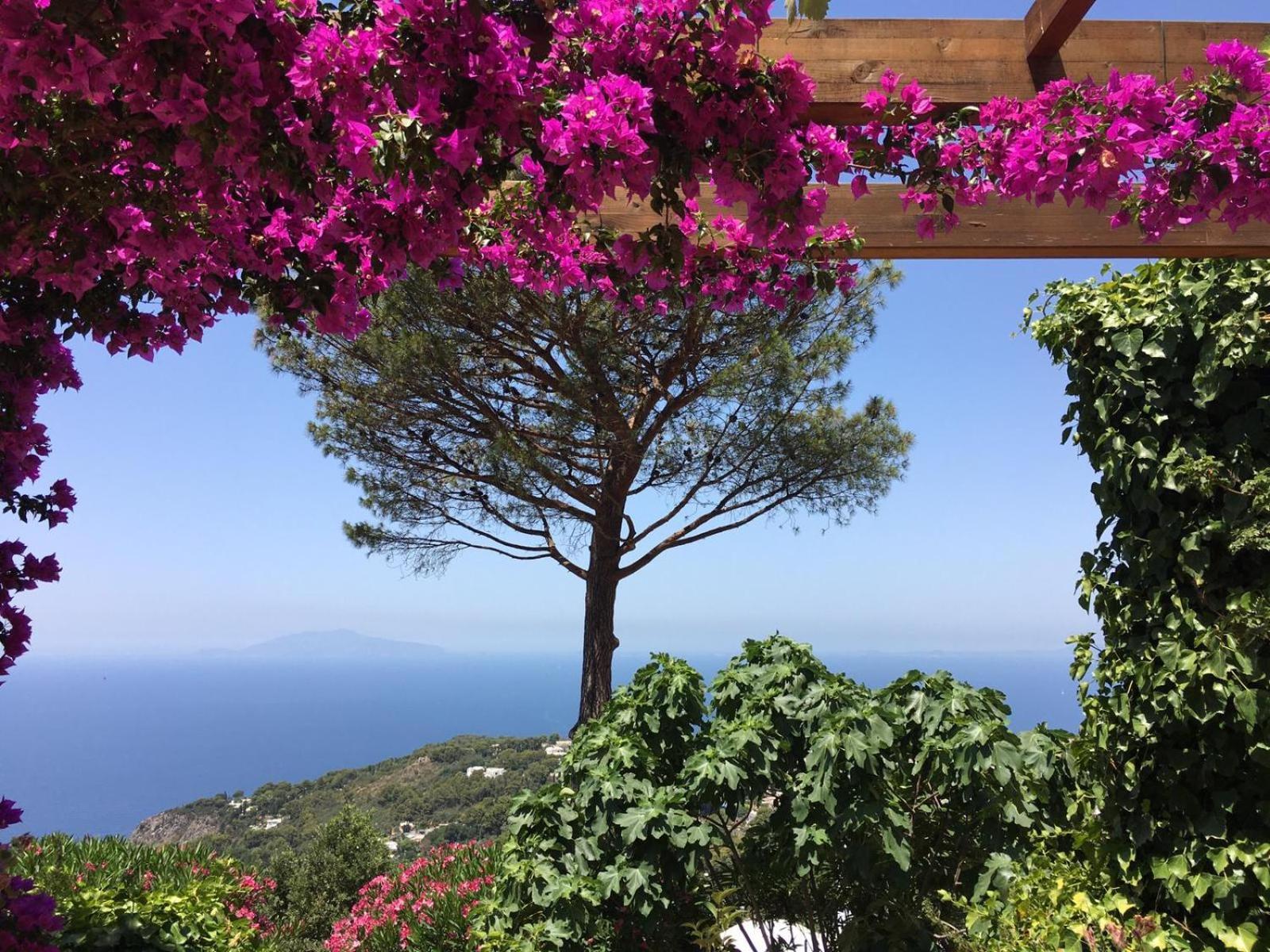 Hotel Casa Blu Anacapri  Zewnętrze zdjęcie